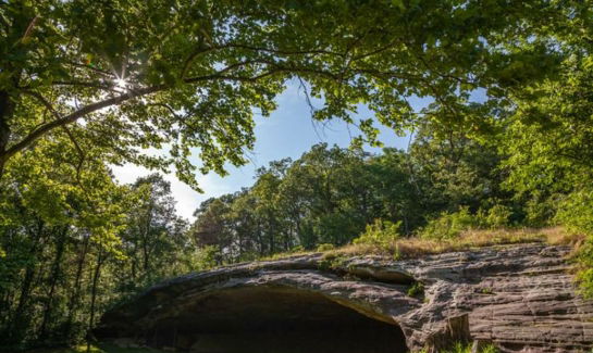 GrahanCaveStatePark.jpg